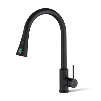 ACA International WELS Kitchen Mixer Tap 2-Mode Spray Pull Out Spout Kitchen Laundry Sink Bar Faucet Tap Basin Mixer Brass Faucet Kitchen Tap(Matt Black)