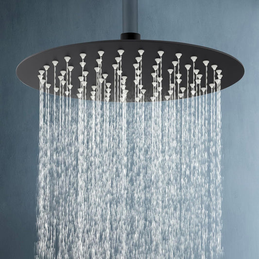 ACA International High Pressure 10'' Large Shower Head Round Overhead 304 Stainless Steel Adjustable Ultra-Thin Rain Shower Head 250x250mm WELS (Black)