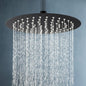 ACA International High Pressure 10'' Large Shower Head Round Overhead 304 Stainless Steel Adjustable Ultra-Thin Rain Shower Head 250x250mm WELS (Black)